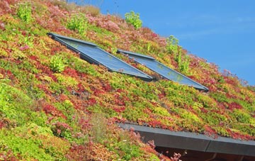 Antingham living roof systems